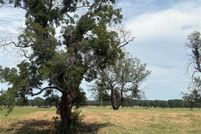 Undeveloped Land for sale in Parker County, Texas
