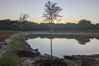 Land for sale in Wise County, Texas