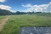 Land for sale in Rains County, Texas