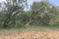 Land for sale in Nolan County, Texas