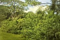 Land for sale in Collier County, Florida