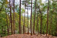 Undeveloped Land for sale in Gilmer County, Georgia