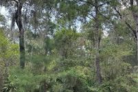 Land for sale in McIntosh County, Georgia