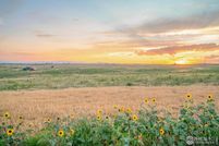 Land for sale in Weld County, Colorado