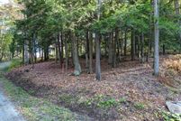 Timberland Property for sale in Berkshire County, Massachusetts