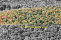 Undeveloped Land for sale in Delta County, Michigan
