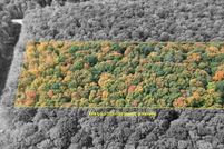 Land for sale in Delta County, Michigan