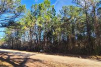 Undeveloped Land for sale in McIntosh County, Georgia