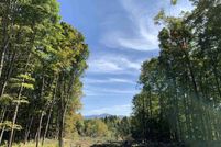 Undeveloped Land for sale in Washington County, Vermont