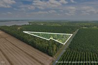 Land for sale in Pamlico County, North Carolina