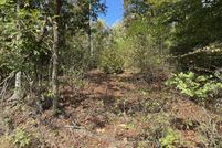 Undeveloped Land for sale in Fleming County, Kentucky