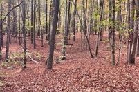 Land for sale in Paulding County, Georgia
