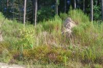 Land for sale in Liberty County, Texas