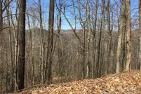 Undeveloped Land for sale in Madison County, North Carolina
