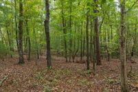 Land for sale in Lumpkin County, Georgia