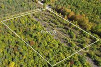 Undeveloped Land for sale in Benzie County, Michigan