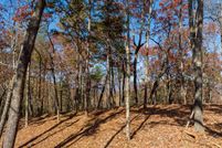 Land for sale in Gilmer County, Georgia