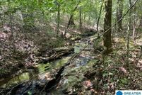 Undeveloped Land for sale in Clay County, Alabama