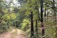 Land for sale in Newton County, Arkansas