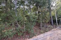 Land for sale in Clarendon County, South Carolina