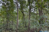 Land for sale in Lawrence County, Alabama