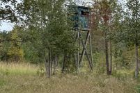 Undeveloped Land for sale in Marion County, South Carolina