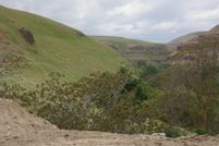 Land for sale in Asotin County, Washington