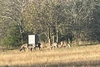 Land for sale in Delta County, Texas