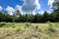 Undeveloped Land for sale in Newton County, Texas