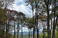 Land for sale in Jackson County, North Carolina