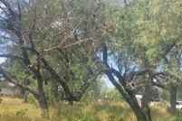 Undeveloped Land for sale in Burnet County, Texas