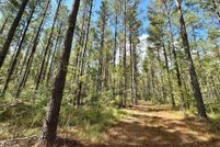 Undeveloped Land for sale in Simpson County, Mississippi