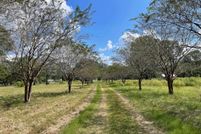 Land for sale in Livingston Parish, Louisiana