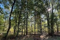Undeveloped Land for sale in Barry County, Michigan