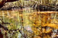 Recreational Property for sale in Santa Rosa County, Florida