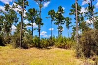 Undeveloped Land for sale in Escambia County, Florida