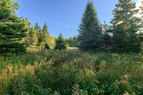 Farm and Ranch for sale in Chippewa County, Michigan