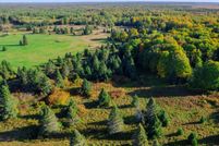 Undeveloped Land for sale in Chippewa County, Michigan