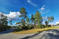 Undeveloped Land for sale in Marion County, Florida