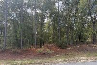 Undeveloped Land for sale in Pierce County, Georgia