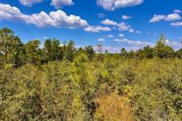 Undeveloped Land for sale in Escambia County, Florida