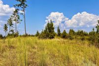 Timberland Property for sale in Escambia County, Florida
