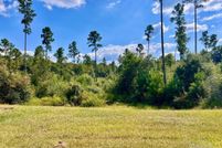 Undeveloped Land for sale in Escambia County, Florida