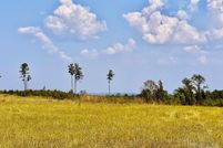 Undeveloped Land for sale in Escambia County, Florida