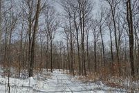 Undeveloped Land for sale in Rusk County, Wisconsin