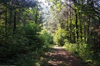 Land for sale in Grainger County, Tennessee