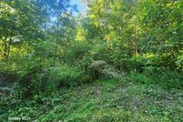Homesite for sale in Greenbrier County, West Virginia