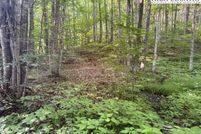 Undeveloped Land for sale in Ashe County, North Carolina