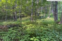 Undeveloped Land for sale in Ashe County, North Carolina