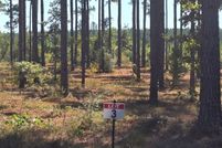 Land for sale in Sabine Parish, Louisiana